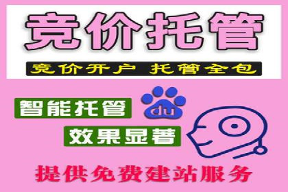 专业SEM托管，案例分析效果显著